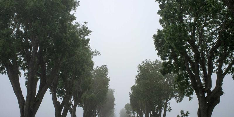 5G赋能企业数字化转型：如何利用编程资源与开源项目破解软件开发新挑战