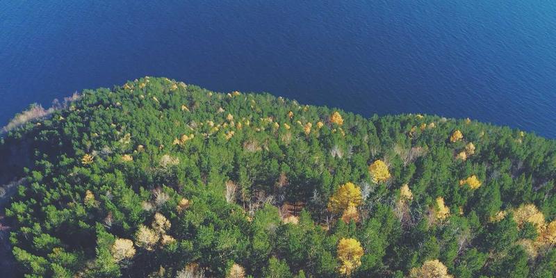 eBPF技术深度解析：Linux内核网络可观测性与安全的新范式 | IT教程与编程资源