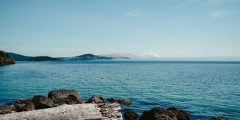 从入门到精通:软件开发实战攻略与技术分享