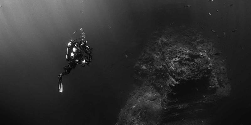 从虚拟化到云原生：NFV与云原生网络功能的融合实践与编程资源分享