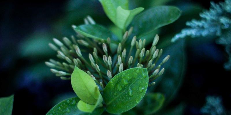 工业自动化新基石：深度解析时间敏感网络（TSN）的关键技术与部署实践 | IT教程与技术分享