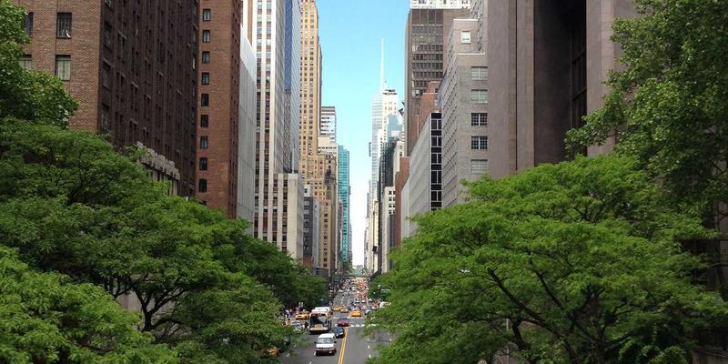 网络技术42：从IT教程到软件开发实战的技术分享全景图