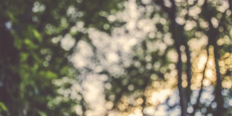 网络技术64：解锁编程资源与开源项目的技术分享新维度