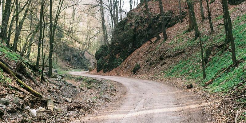 网络技术66:编程资源、IT教程与开源项目的黄金三角