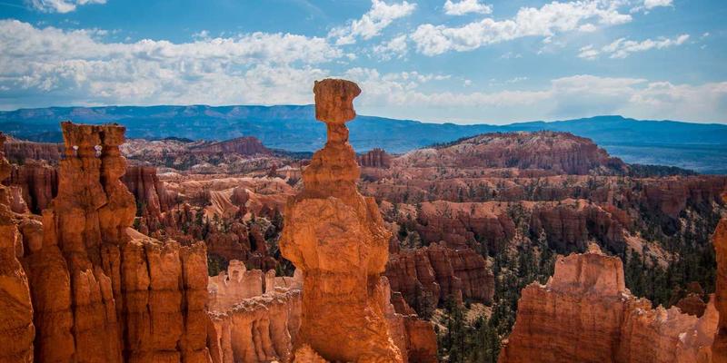 网络技术90：解锁编程资源与软件开发的高效路径