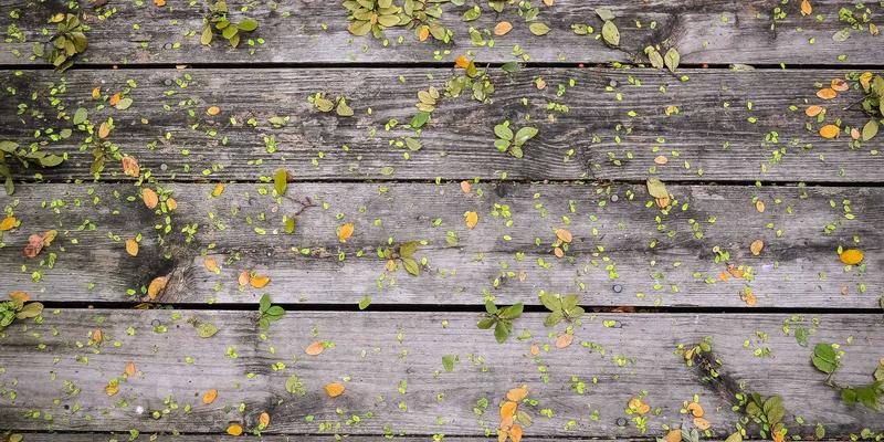 网络技术新浪潮:开源项目如何重塑软件开发生态