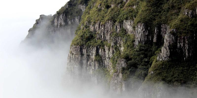 网络技术深度评测：从IT教程到实战分享的进阶之路