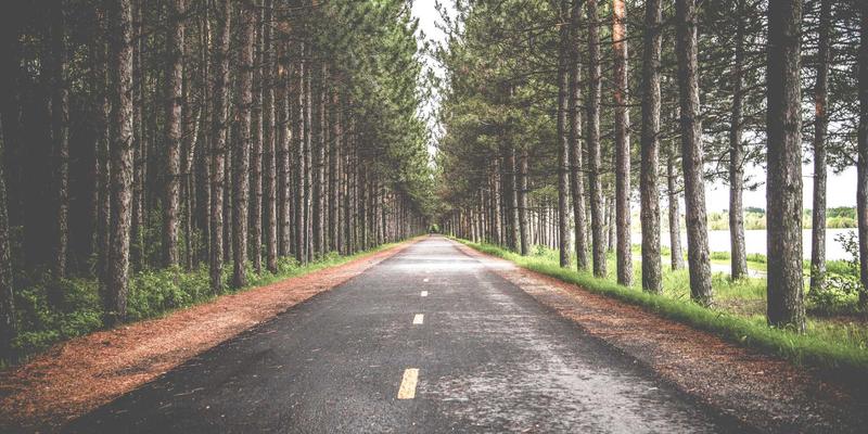 网络技术演进：MPLS与SD-WAN的融合替代之路，兼谈开源项目与编程资源