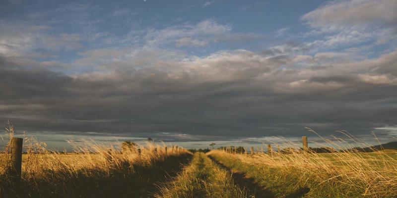 解锁网络技术12：从开源项目到高效软件开发的实战指南