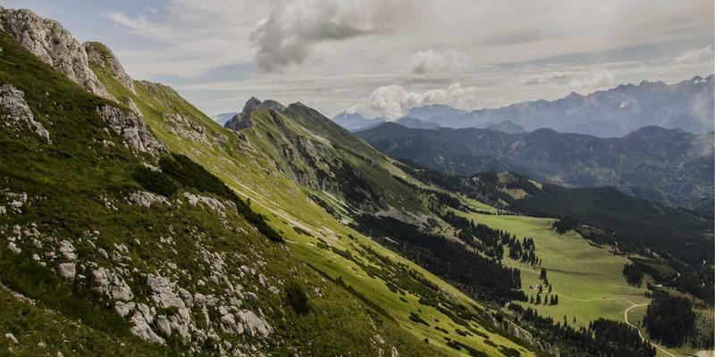 软件开发新范式：开源项目如何驱动SD-WAN与SASE的融合网络技术革命